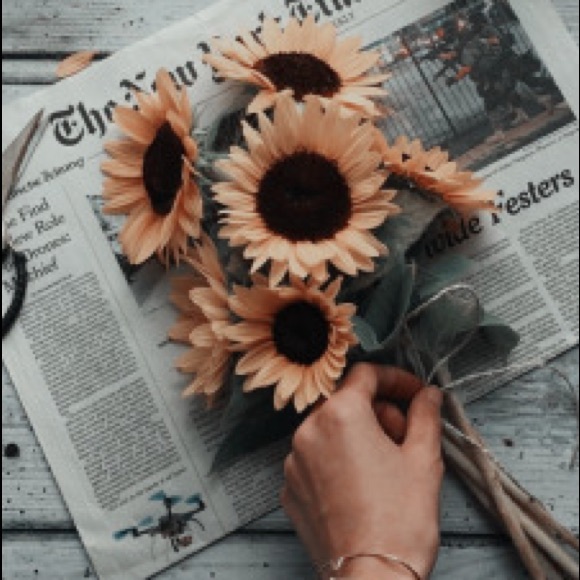 Meet your Posher, Morgan - Picture 1 of 1